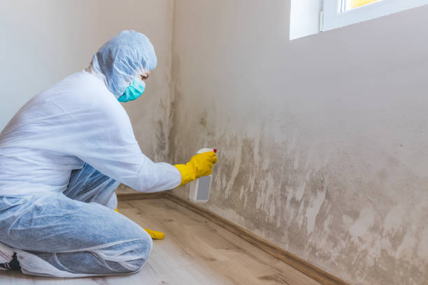 Hvac And Air Duct Mold Remediation inspection of HVAC system in South Bound Brook